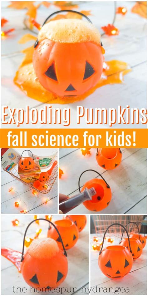 Pumpkin Volcano Science Experiment for Kids - Homespun Hydrangea