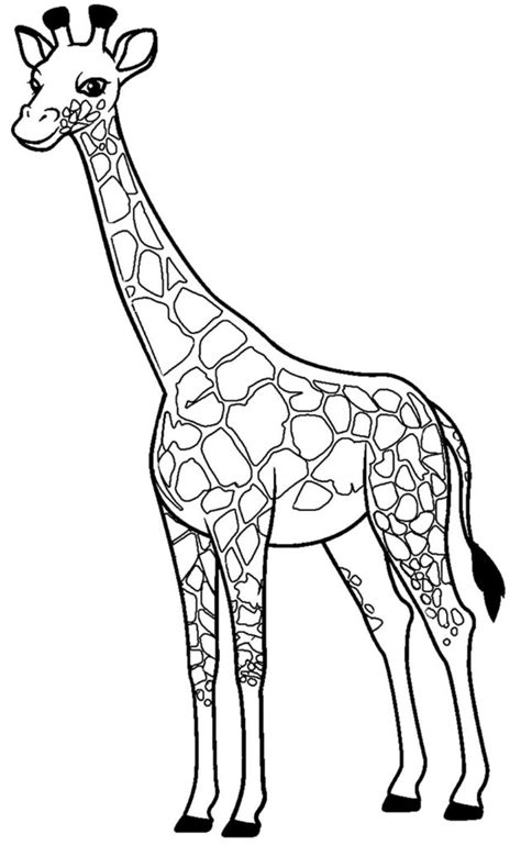 Desenhos De Girafa - 30+ Desenhos de Girafa para colorir - Pop Lembrancinhas