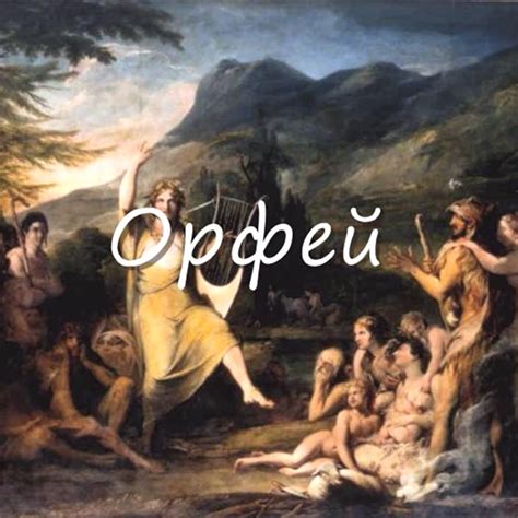 2.5.3. Орфей - Лавка "Товары в дорогу"