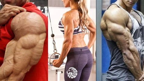 5 Easy Tips for Building Big Triceps Fast! - Angry Lion Fitness