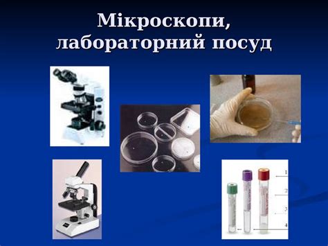 Загальна характеристика мікроорганізмів. Їх класифікація та морфологія ...