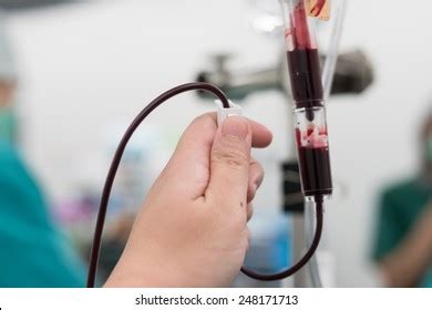 giving packed red cell blood  stock photo  shutterstock