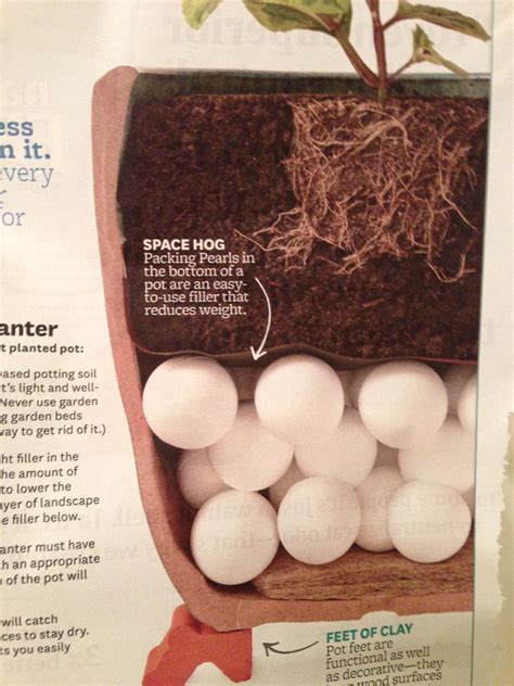 What To Use For Filler In Large Planters at Dustin Richards blog