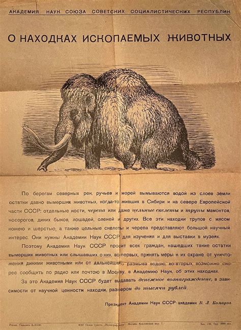 Мамонт и водка | Пикабу