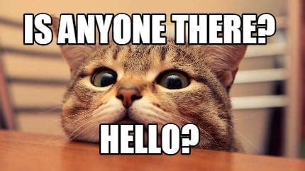 Meme Creator - Funny IS ANYONE THERE? HELLO? Meme Generator at ...