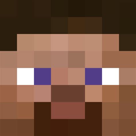 Steve in minecraft - cycleisse