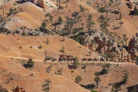 Bryce Canyon Views 4407044 Stock Photo at Vecteezy