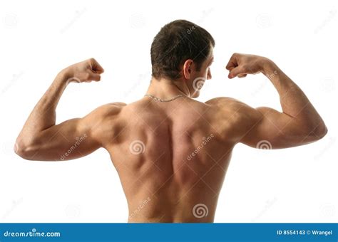 flexing biceps stock image image  cutout beauty biceps