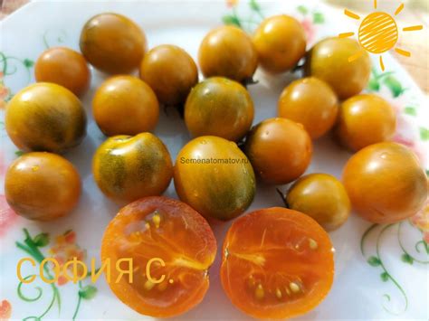 Темно-оранжевый мускат (Dark Orange Muscat)- — Семена Томатов