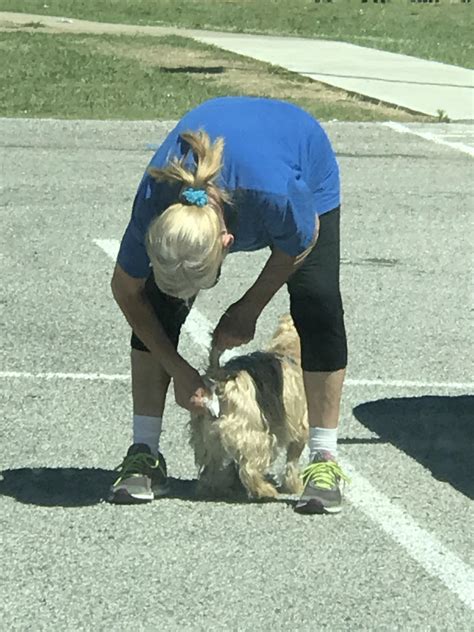 PsBattle: Lady wiping her dogs butt. : r/photoshopbattles
