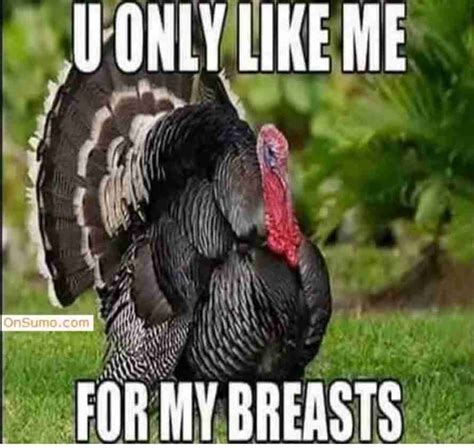 40+ Funny Happy Thanksgiving Day Memes 2020 - Guide For Moms