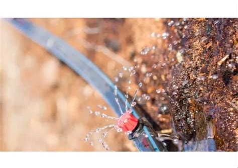 irrigating solution   delhi id