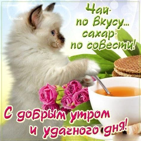 Картинки с добрым утром 🌞 скачать бесплатно