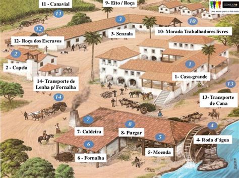 Engenho De Cana De Açucar - Engenhos de Cana de Açúcar no Brasil Colonial