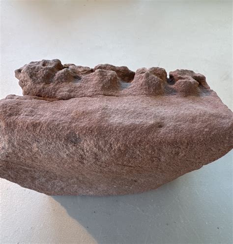 Possible Dinosaur Footprint? Found in Moenave Formation, Arizona