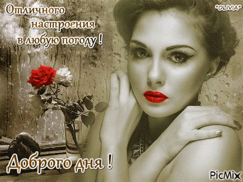 Доброго дня ! - Бесплатный анимированный гифка - PicMix