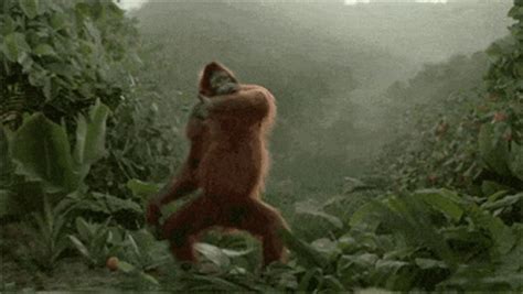 Happy Gorilla GIF - Happy Gorilla Monkey - Discover & Share GIFs