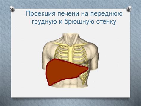 Острый холецистит - презентация онлайн