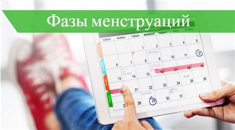 🤷 Фазы менструального цикла 🚩 по дням