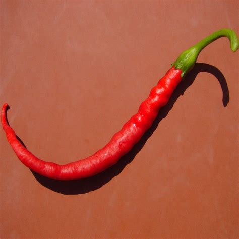 sivri biberin saglik uezerindeki etkileri neler momentum saglik