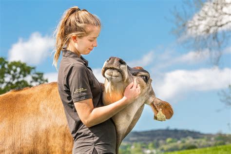 wild animal sanctuaries near me volunteer 1