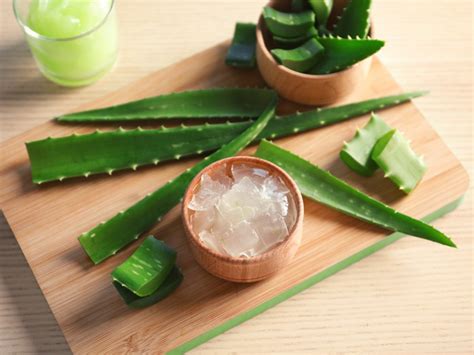 memanfaatkan aloe vera gel  mungkin   tahu beauty