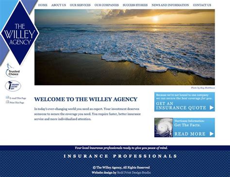 The Willey Agency Professional Website - Bold Print Design Studio