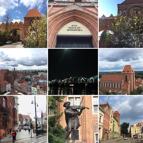 Study Visits | ELSA Toruń