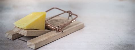 The Trap of Seduction - Royal Priesthood