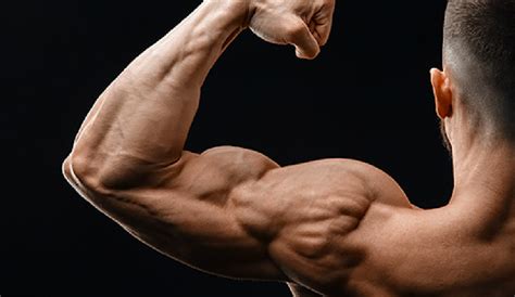 bicep facts factsnet