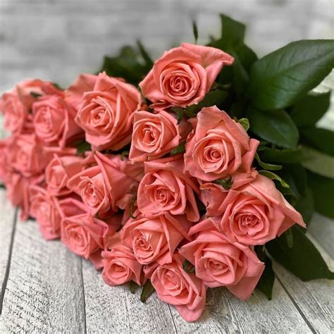 Today. | Rose, Flowers, Red roses