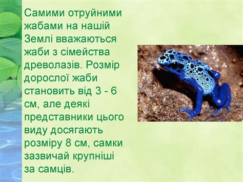Цікаві факти про амфібій - презентация онлайн