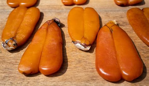 Bottarga: che cos'è, che sapore ha e come si utilizza
