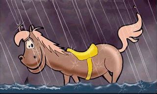Tirar O Cavalo Da Chuva - Pode tirar o cavalo da chuva – Josadak Marçola