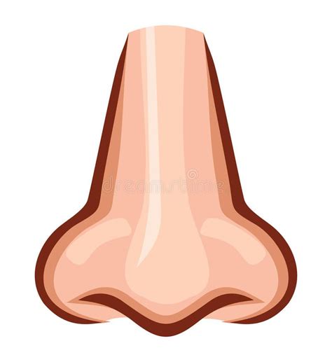 the nose is shown on a white background royalty illustration