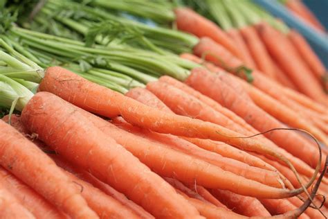 grow carrots   backyard ultimate guide