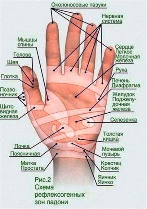 Массаж для снижения аппетита | Salute naturale, Rimedi per la salute ...