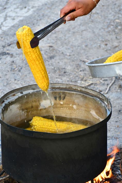 Hot+Babe+Gifs Photos, Download The BEST Free Hot+Babe+Gifs Stock Photos