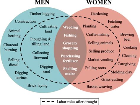 Gendered division of labor before and after drought | Download ...