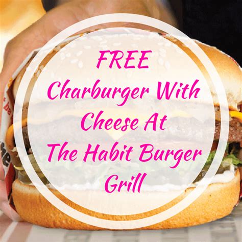 charburger  cheese   habit burger grill
