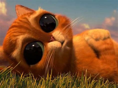 Download Sad Puss In Boots Wallpaper | Wallpapers.com