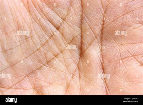 Lines on human palm texture. full frame photo Stock Photo - Alamy