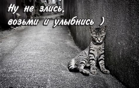 Картинки с надписью - Ну не злись, возьми и улыбнись).