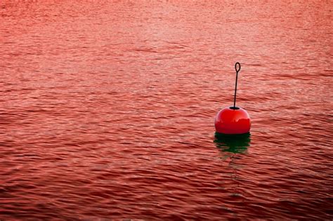 premium photo red floating  water