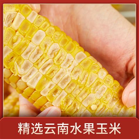 名邦礼玉水果玉米