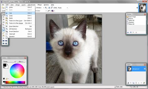 Paint.Net Tutorial