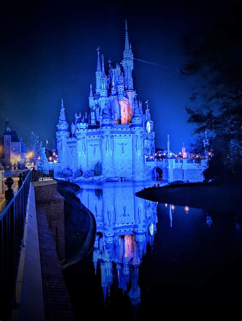 Jenny Bond - Marvelous Mouse Travels - Exclusive Agency Deal! Royal