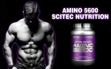 Amino 5600 от Scitec Nutrition: как принимать, отзывы