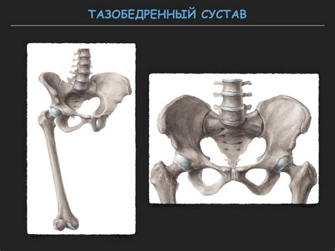 Визуализация тазобедренного сустава