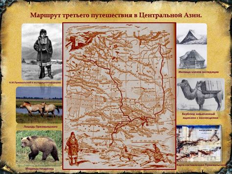 Гений странствий Николай Михайлович Пржевальский - презентация онлайн
